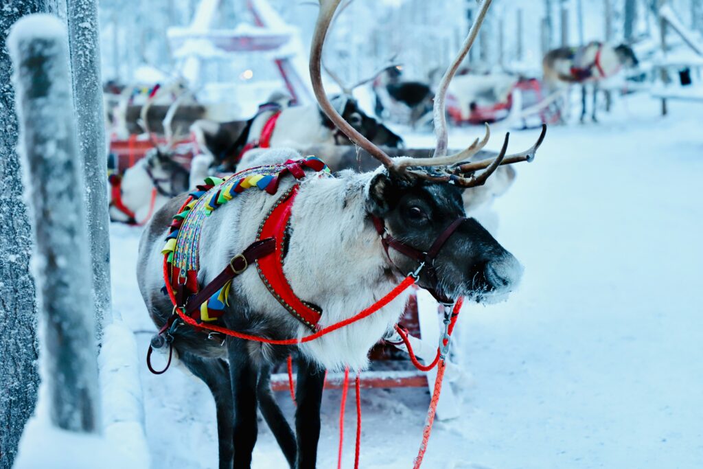 66-north-YmD5N1oBmq4-unsplash-1024x683 Voyage d’hiver en Laponie finlandaise : au cœur de la magie arctique