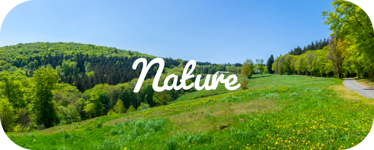 nature-rje5kl12j5yoe8zxkyrmem03528kma6jtyhsqb2q34 Voyages d'un jour